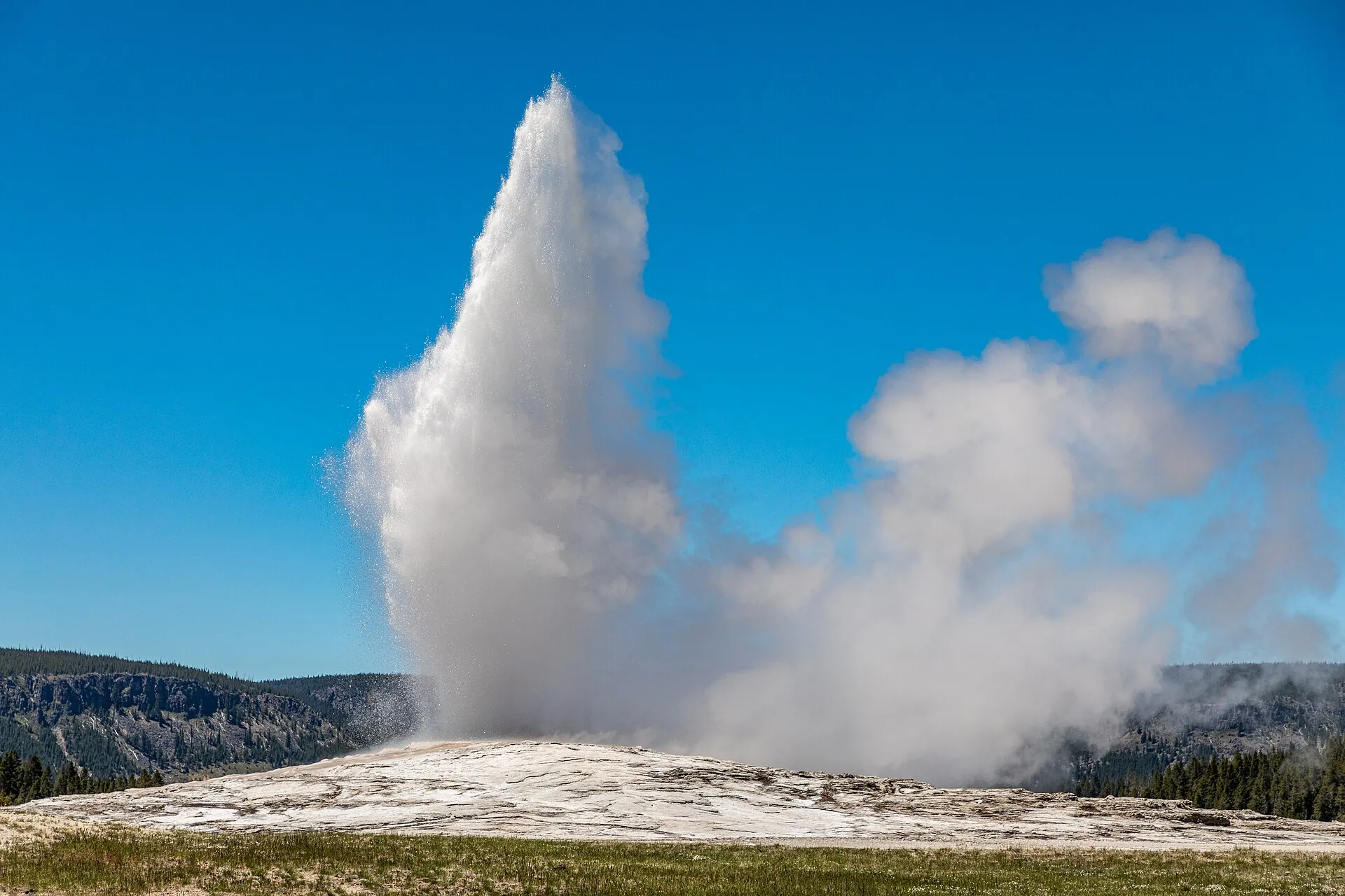 Ausbruch des Old Faithful im Yellowstone: eine weiße Wasserfontäne über dem hellen Sinterhügel vor blauem Himmel